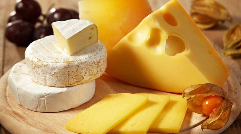 Польза сыра доказана учеными