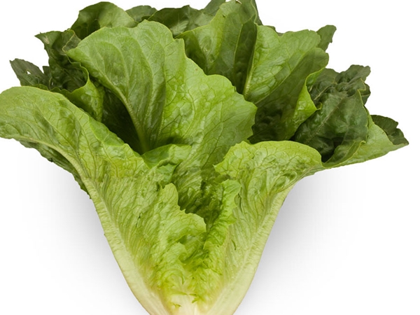 Чем полезен салат листовой